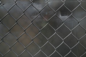 texture-kc-04240903